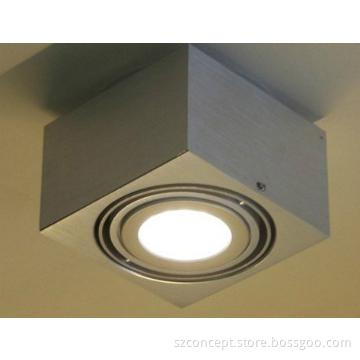 10W LED hanging Light With 1pcs AR111 10W Lamp, led ceiling Light - P